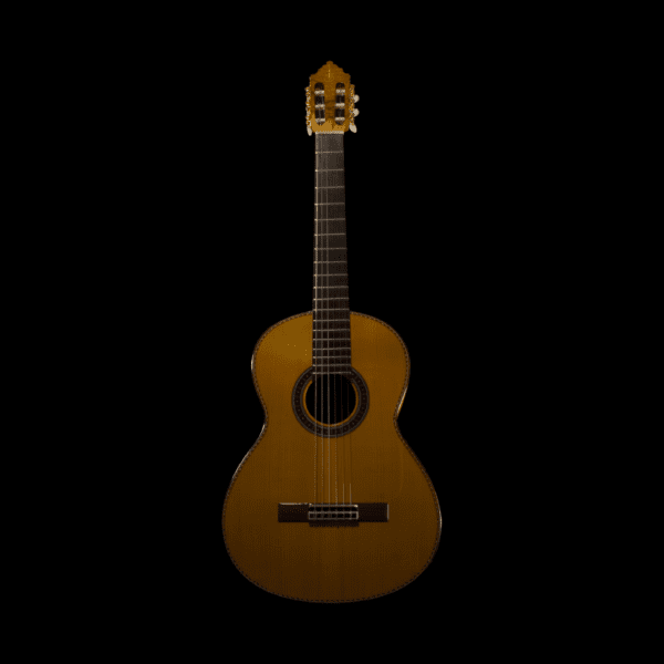 Sevillano Guitar - Customized