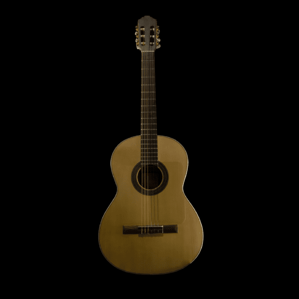 Sevillano Guitar - Economy