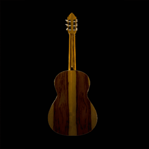 Alternative view of Sevillano Guitar - Customized
