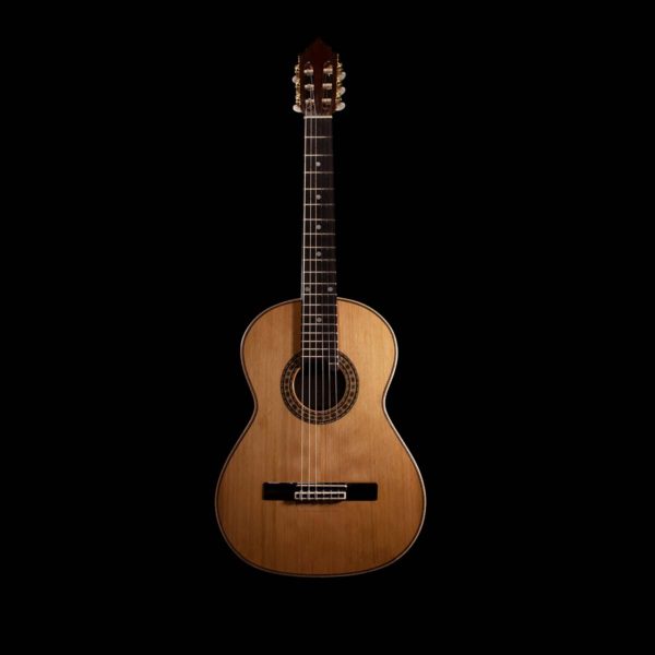 Fermata Guitar - Customized