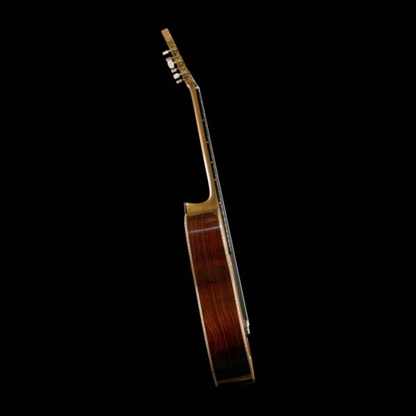Alternative view of Fermata Guitar - Customized