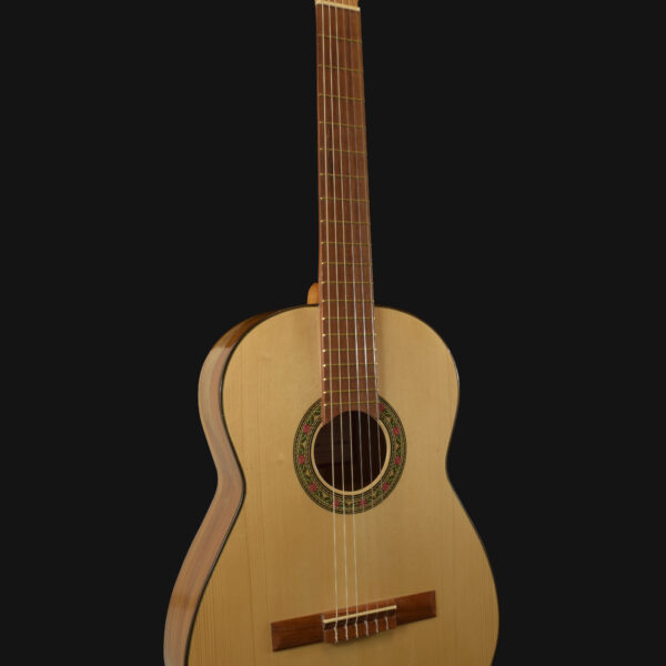 Alternative view of Fermata Guitar - Economy