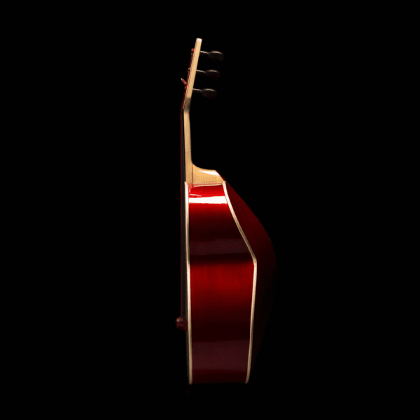 Alternative view of Fermata Custom Guitarron with Microsuede Gig Bag