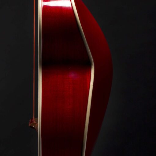 Alternative view of Fermata Vihuela - Custom