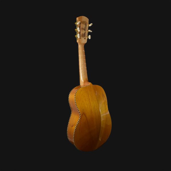 Alternative view of Fermata Vihuela- Economy