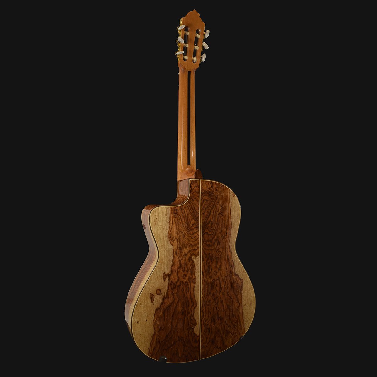 Fermata Guitar - Professional - Image 2