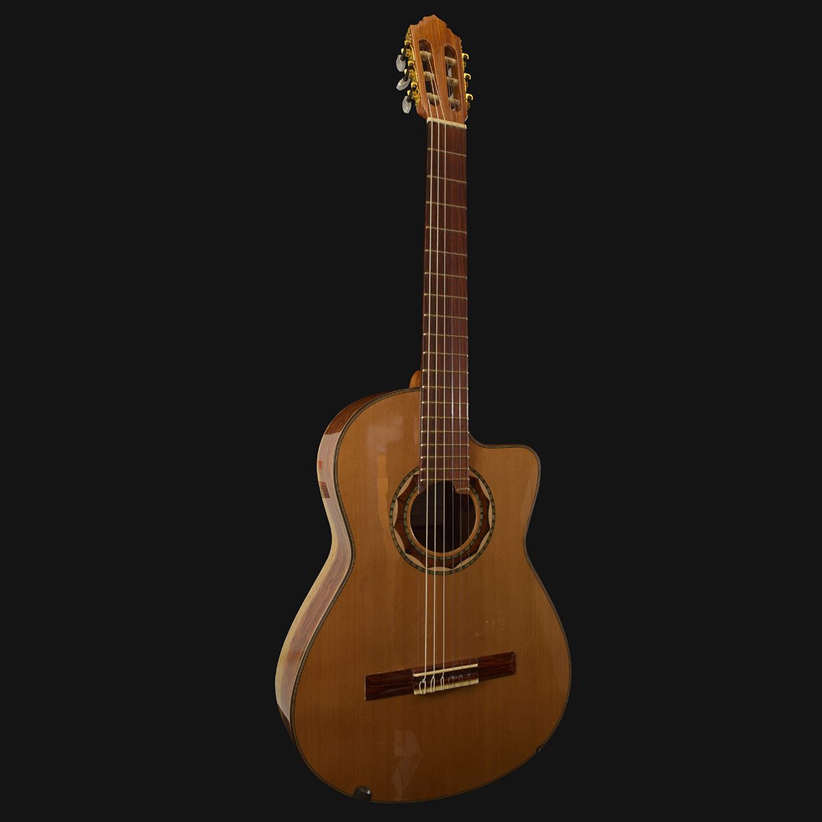 Fermata Guitar - Professional