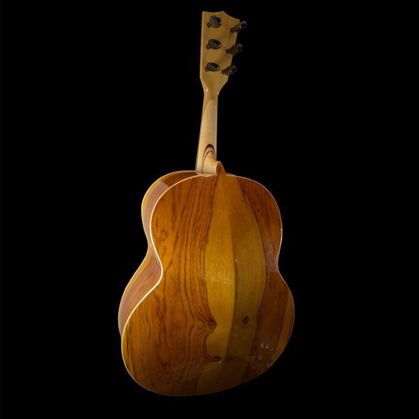 Alternative view of Fermata Guitarron - Professional