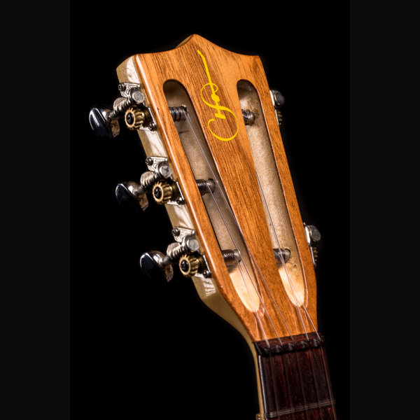 Alternative view of Sevillano Vihuela - Professional