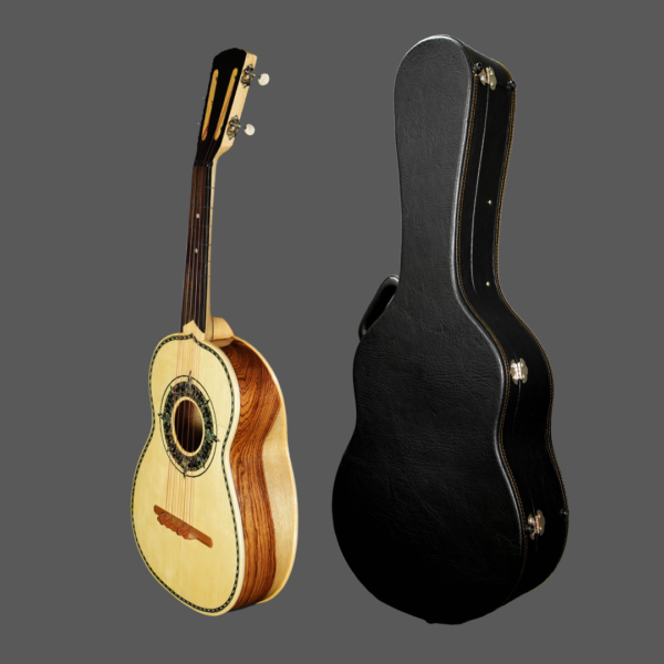 Fermata Vihuela Professional with Hard Case Outfit