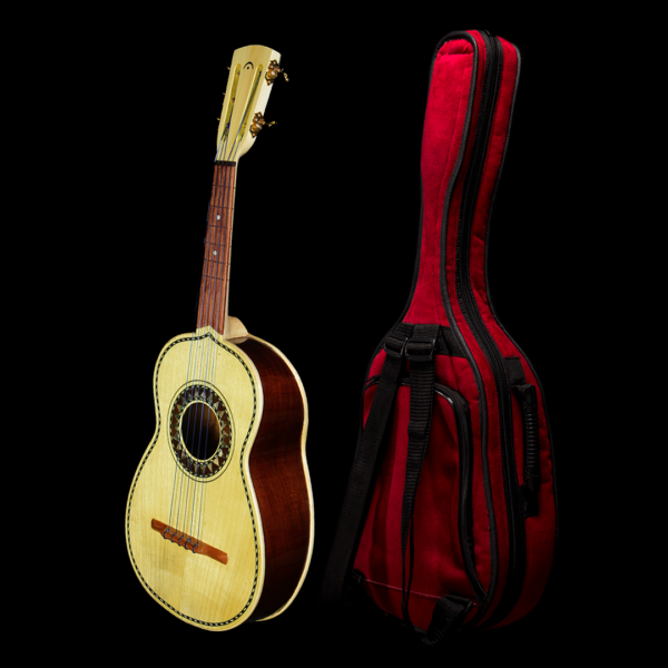 Fermata Vihuela Professional with Microsuede Gig Bag