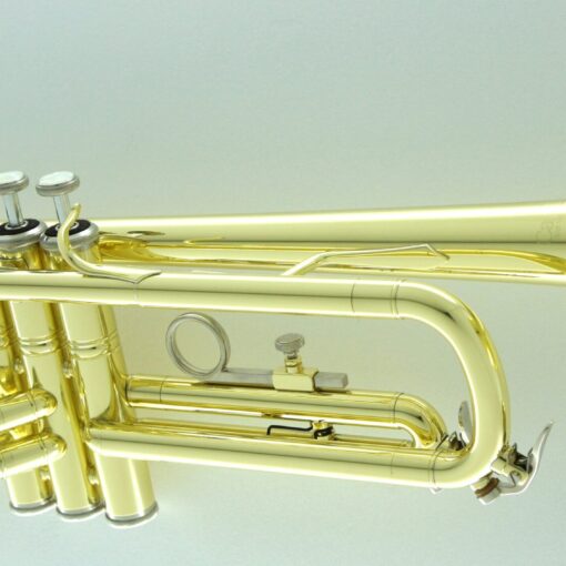 Carol Brass Student Model - CTR‐1000H‐YSS‐Bb-L Key: Bb