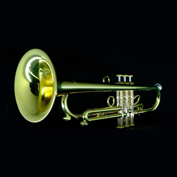 Andrea Giuffredi Professional Carol Brass Trumpet