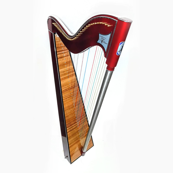 Alternative view of Villegas Harp - Ivan Velazco
